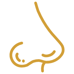 A stylized graphic of a golden human nose.