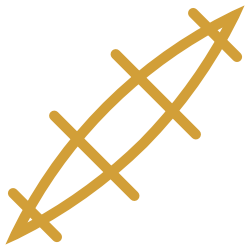 Golden fish icon or symbol with an abstract geometric design.