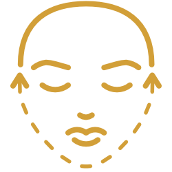 Facial rejuvenation procedures icon