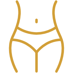 An illustration of a human torso highlighting the abdomen area.