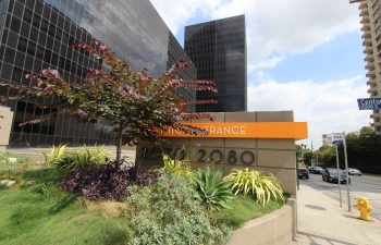 Modern office buildings with a landscaped entrance featuring foliage and an address sign.